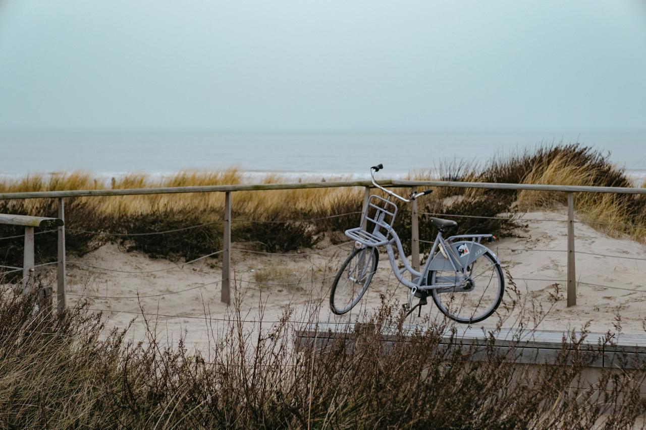 Bike tour to dunes and sea